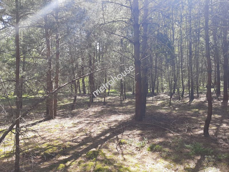 Działka na sprzedaż, Bialski, Wólka Kościeniewicka
