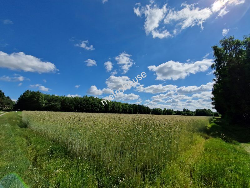 Działka na sprzedaż, Bialski, Sławacinek Stary