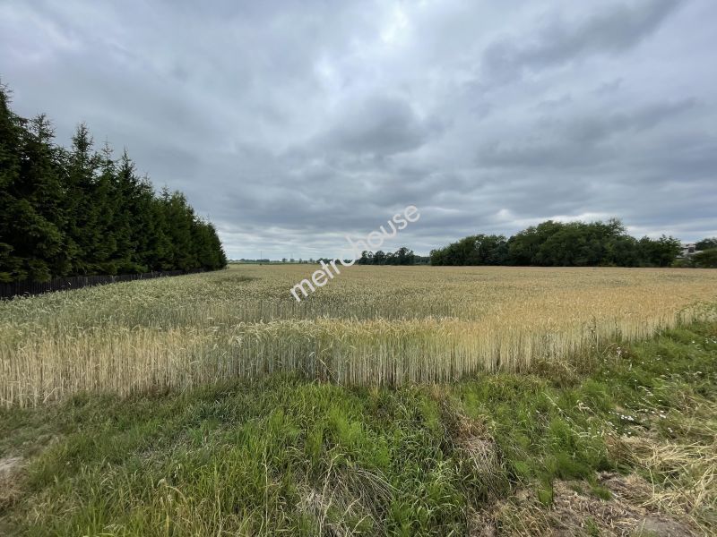 Działka na sprzedaż, Węgrowski, Korytnica, Sienkiewicza