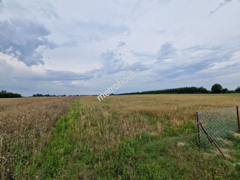 Działka na sprzedaż, Bialski, Porosiuki