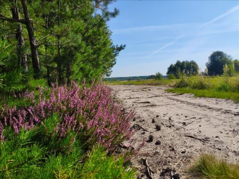 Sprzedaż Działka Helenów, pow. wołomiński