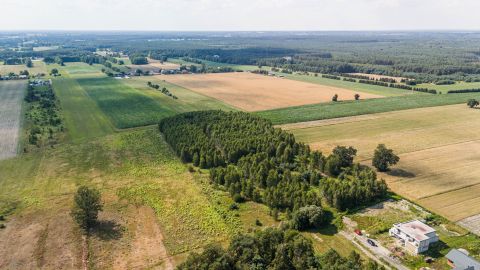 Sprzedaż Działka Herbaciana, Ruda-Bugaj, pow. zgierski