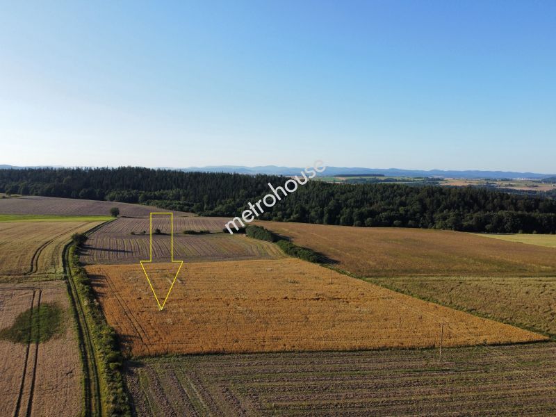 Działka na sprzedaż, Kłodzki, Stara Łomnica