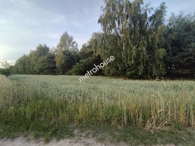Gospodarstwo rolne na sprzedaż, Wyszkowski, Komorowo