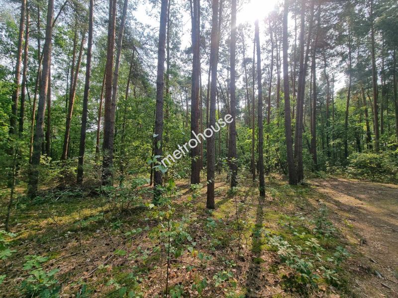 Działka na sprzedaż, łosicki, Mierzwice-Kolonia