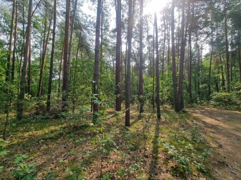 Sprzedaż Działka Mierzwice-Kolonia, pow. łosicki