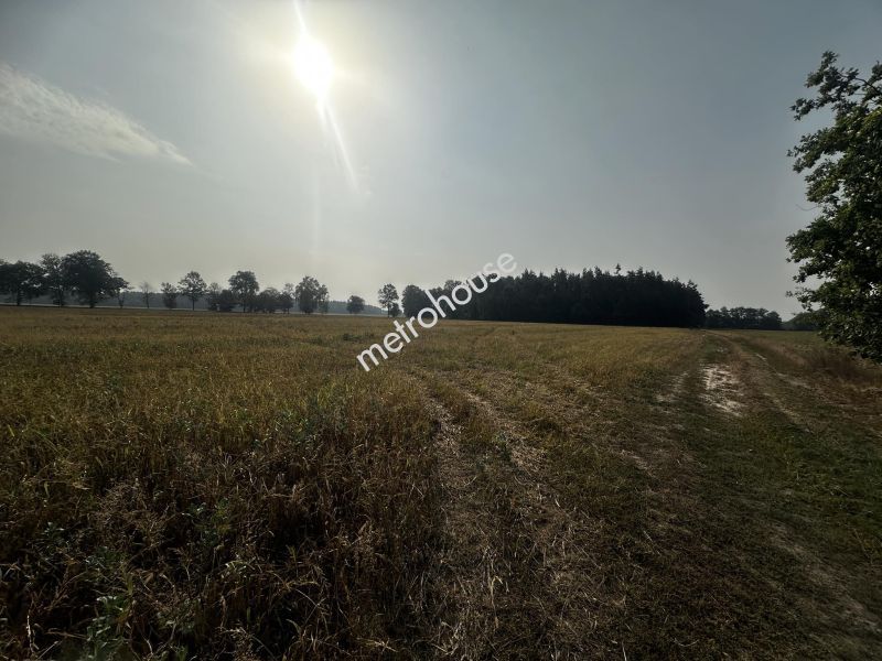 Działka na sprzedaż, Bialski, Bielany
