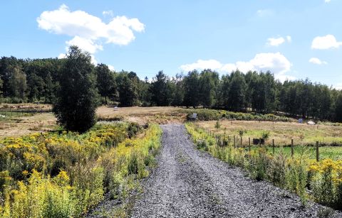 Sprzedaż Działka Staniszów, pow. jeleniogórski