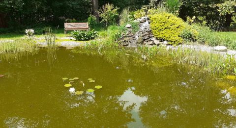 Sprzedaż Dom Jasionka, pow. rzeszowski