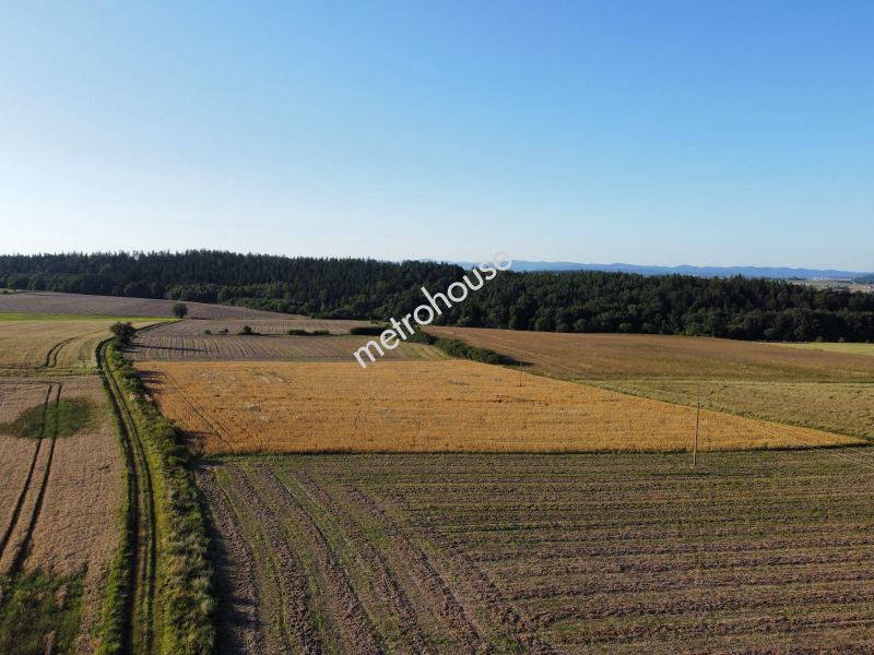 Działka na sprzedaż, Kłodzki, Stara Łomnica