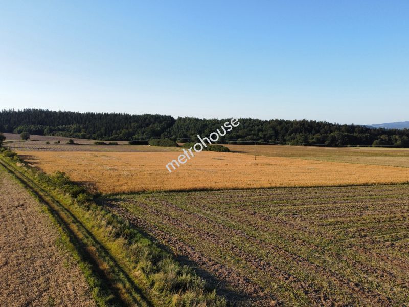 Działka na sprzedaż, Kłodzki, Stara Łomnica