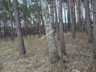 Działka na sprzedaż, Piaseczyński, Konstancin-Jeziorna, Chopina