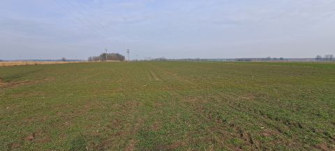 Sprzedaż Działka Malanów, pow. pabianicki