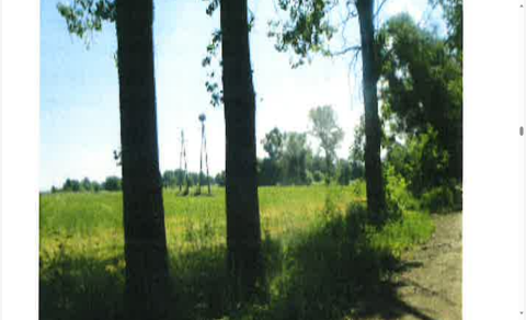 Sprzedaż Działka Brzozowa, Baranów, pow. grodziski