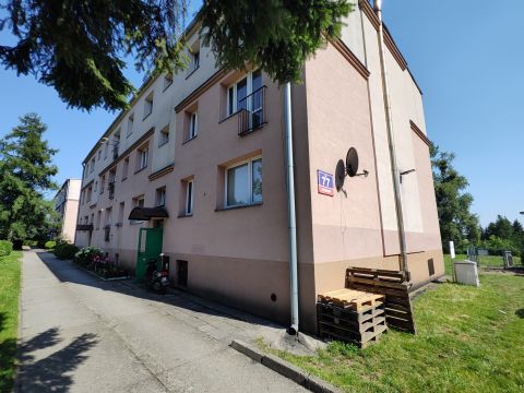 Sprzedaż Mieszkanie Frednowy, pow. iławski