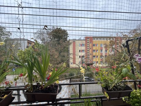 Sprzedaż Mieszkanie Rogozińskiego, Górna, Łódź