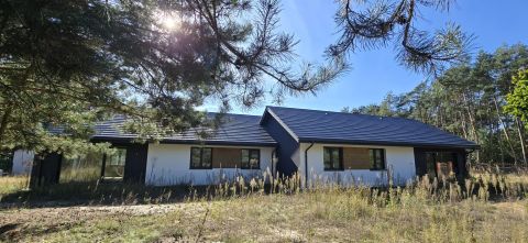 Sprzedaż Dom Zajęcza, Rozgarty, pow. toruński