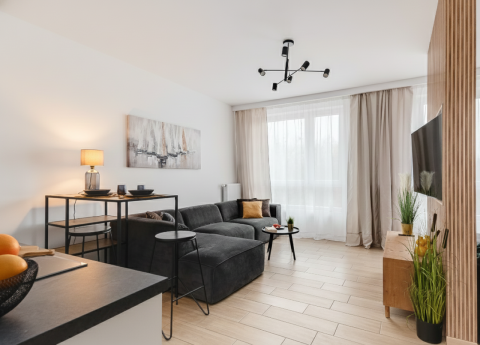 Sprzedaż Mieszkanie Ogrodowa, Śródmieście, Łódź