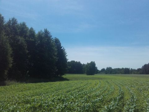 Sprzedaż Działka Świerkowo, pow. pułtuski