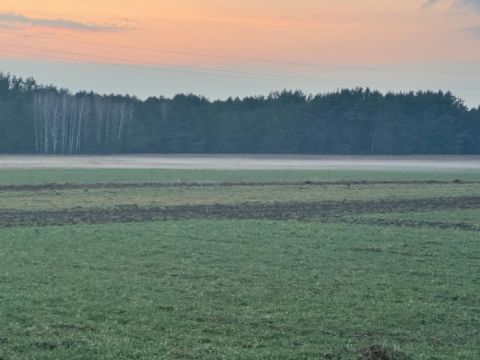 Sprzedaż Działka Kiciny, pow. wyszkowski