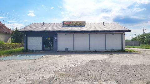 Sprzedaż Lokal handlowo-usługowy Niesułków Kolonia, Niesułków-Kolonia, pow. zgierski