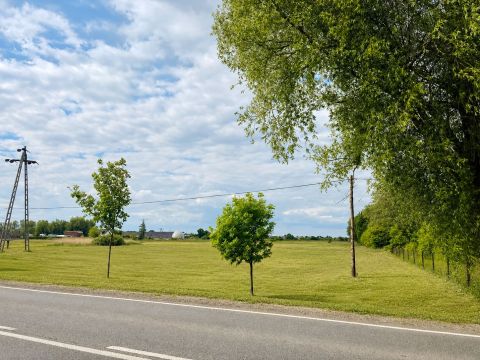 Sprzedaż Działka Bolimowska, Łowicz